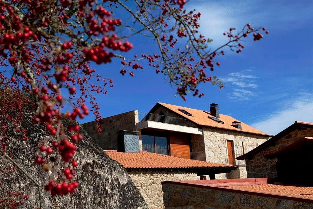 Quinta Do Medronheiro Hotel Rural Viseu Extérieur photo